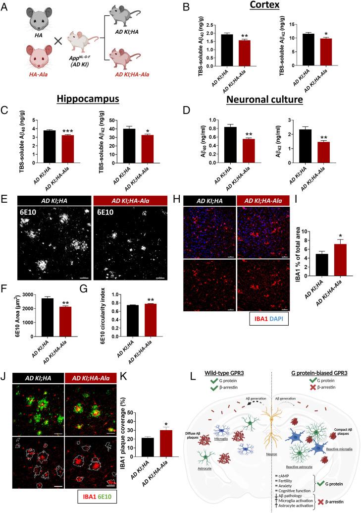 https://cdn.ncbi.nlm.nih.gov/pmc/blobs/1354/9546571/99f32cebe86e/pnas.2204828119fig04.jpg