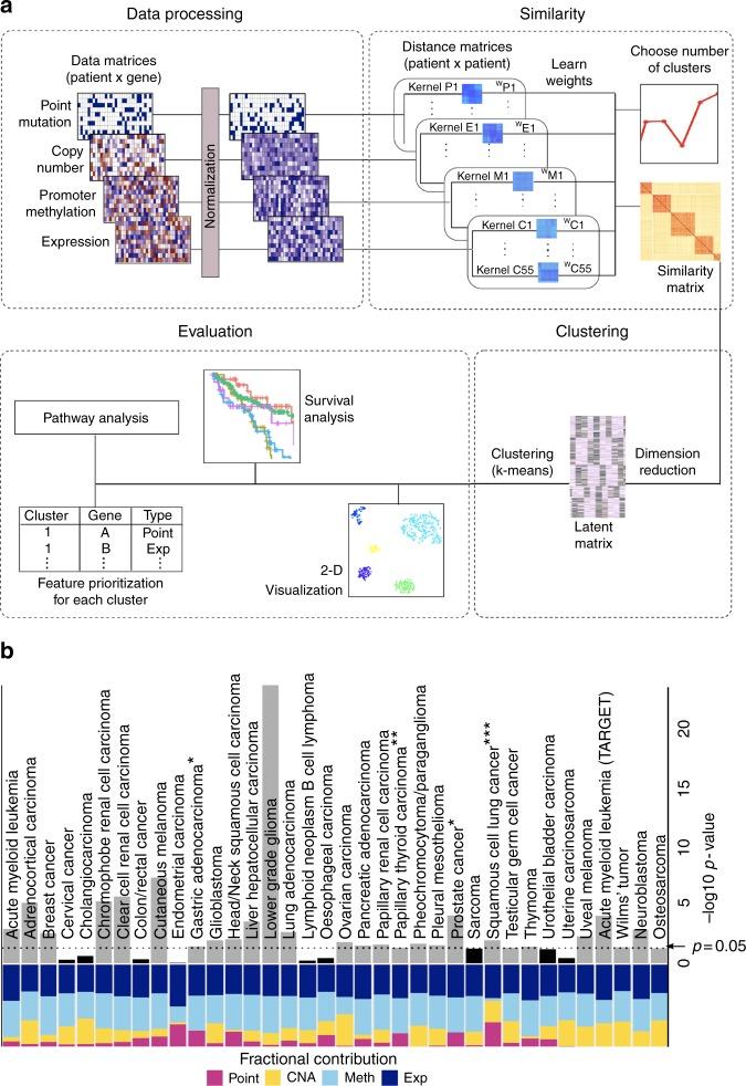 https://cdn.ncbi.nlm.nih.gov/pmc/blobs/1355/6203719/42965549b10a/41467_2018_6921_Fig1_HTML.jpg