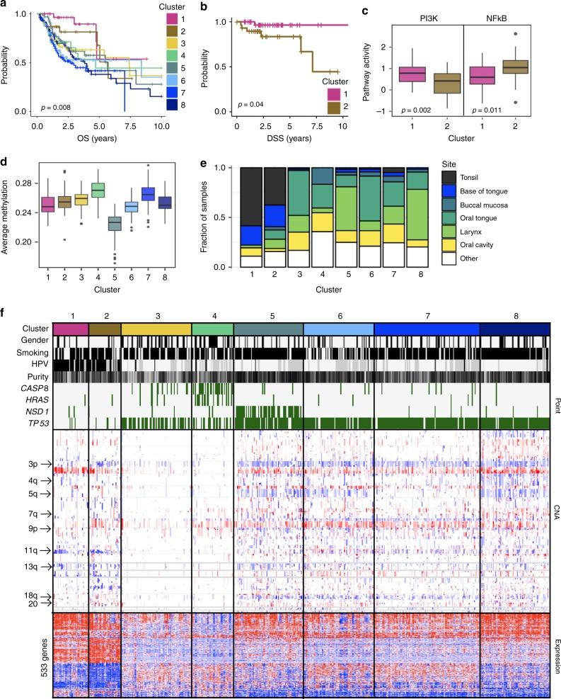 https://cdn.ncbi.nlm.nih.gov/pmc/blobs/1355/6203719/90c7a3ebfd53/41467_2018_6921_Fig4_HTML.jpg