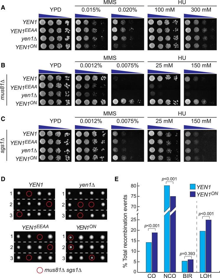https://cdn.ncbi.nlm.nih.gov/pmc/blobs/1356/3988869/2a93e53566cc/gr2.jpg