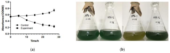 https://cdn.ncbi.nlm.nih.gov/pmc/blobs/1356/8875764/5453945eeec0/microorganisms-10-00257-g001.jpg