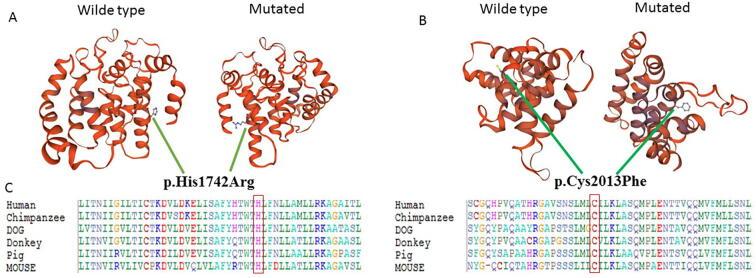 https://cdn.ncbi.nlm.nih.gov/pmc/blobs/1357/8116967/da469b62ed66/gr3.jpg