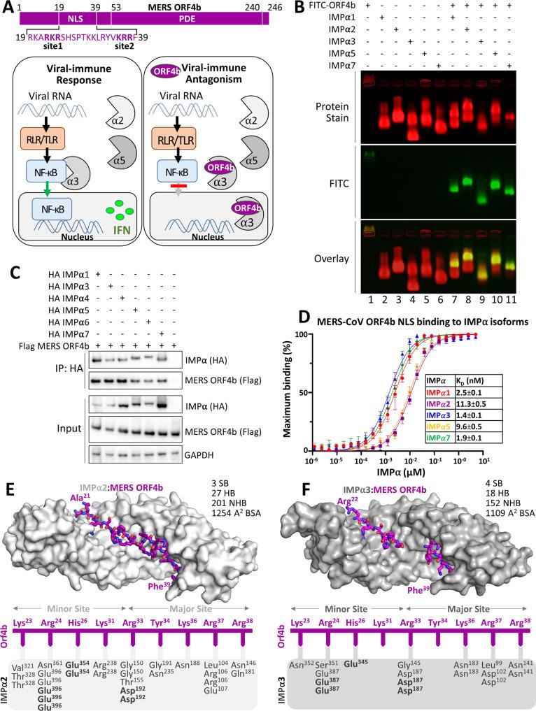 https://cdn.ncbi.nlm.nih.gov/pmc/blobs/1359/8956657/24bdb3028058/41467_2022_28851_Fig1_HTML.jpg