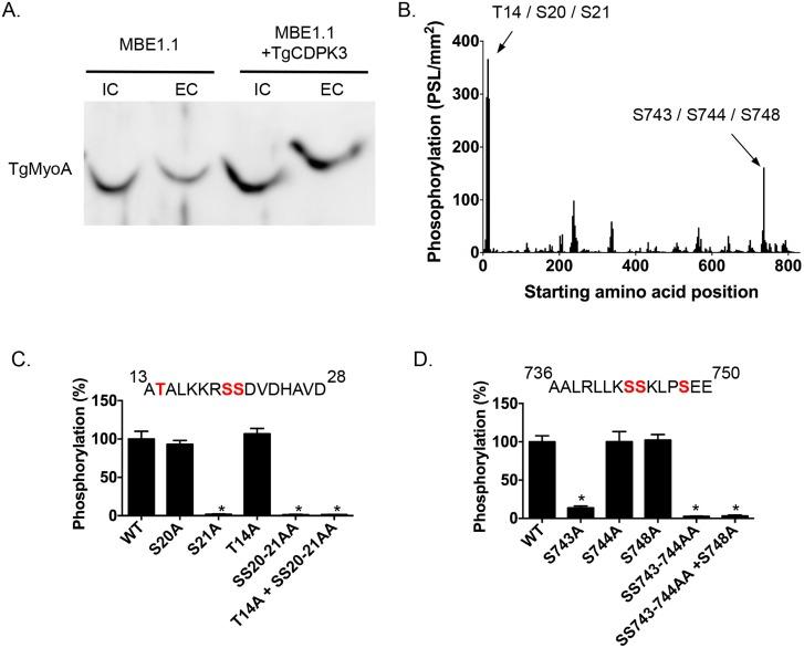 https://cdn.ncbi.nlm.nih.gov/pmc/blobs/135a/4636360/53d97efd4f58/ppat.1005268.g002.jpg