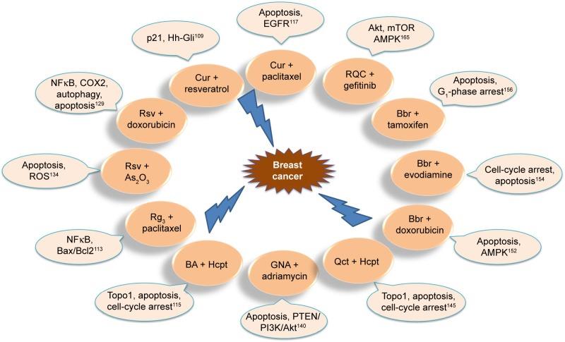 https://cdn.ncbi.nlm.nih.gov/pmc/blobs/135a/6435121/200e2c0da685/ijn-14-2029Fig4.jpg