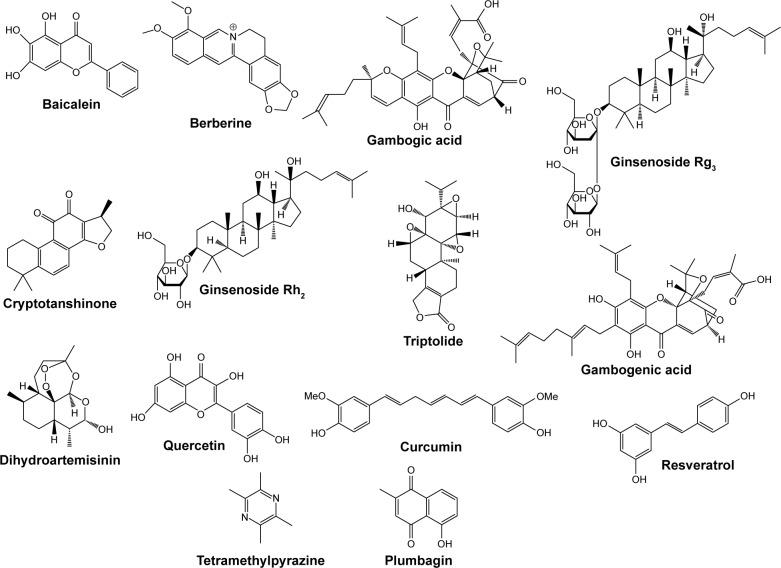 https://cdn.ncbi.nlm.nih.gov/pmc/blobs/135a/6435121/299cfc50568e/ijn-14-2029Fig2.jpg