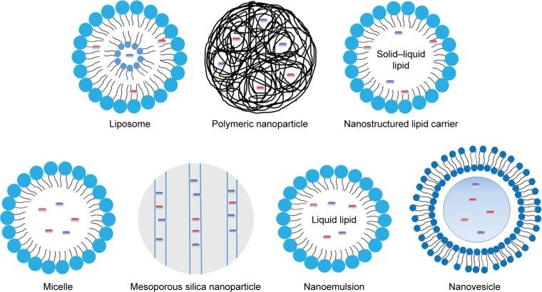 https://cdn.ncbi.nlm.nih.gov/pmc/blobs/135a/6435121/fbb0381e5f02/ijn-14-2029Fig6.jpg