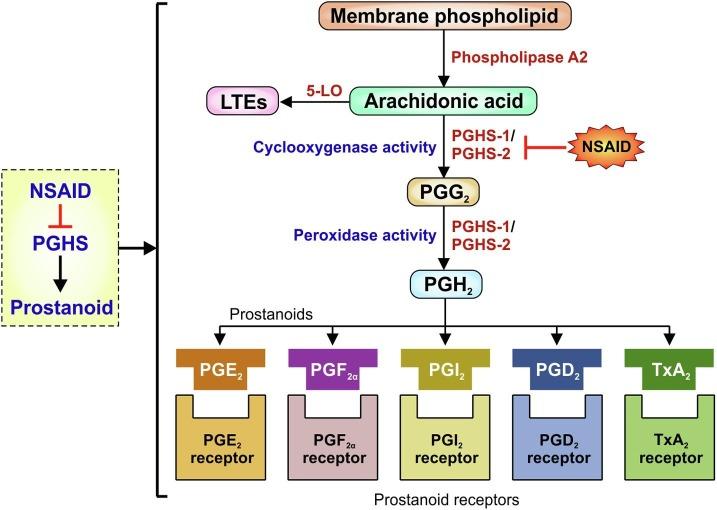 https://cdn.ncbi.nlm.nih.gov/pmc/blobs/135a/7347500/1b0fd4b4746d/gr3_lrg.jpg