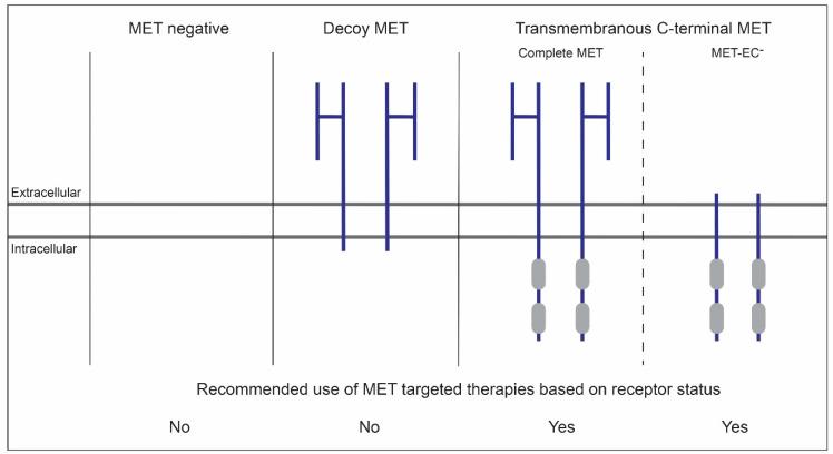 https://cdn.ncbi.nlm.nih.gov/pmc/blobs/135a/8946088/1a29ce06ff92/cancers-14-01491-g003.jpg