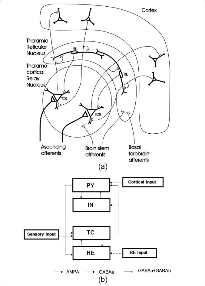 https://cdn.ncbi.nlm.nih.gov/pmc/blobs/135d/3317768/75e267c47dfc/JMSS-1-62-g008.jpg