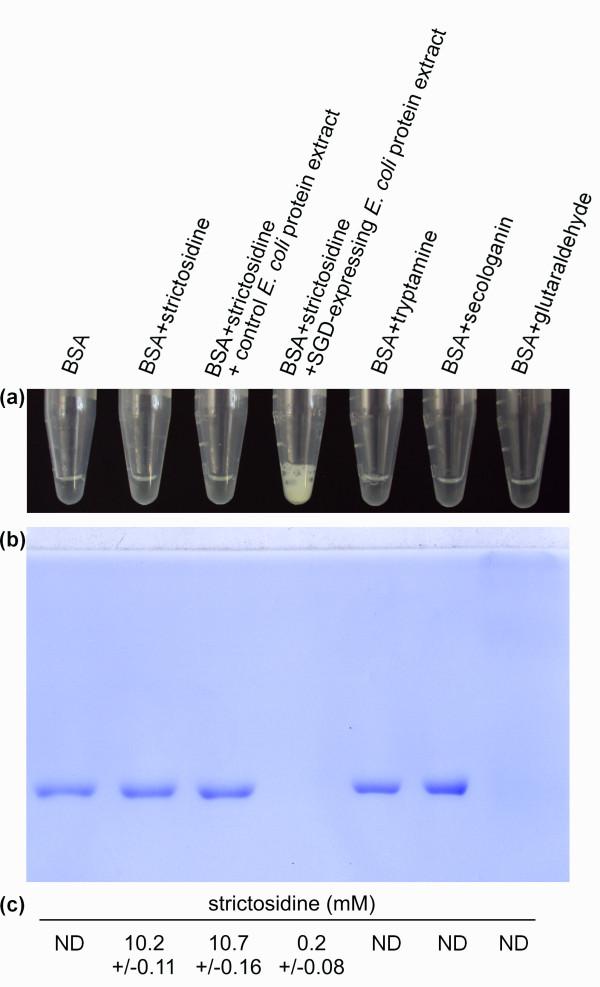 https://cdn.ncbi.nlm.nih.gov/pmc/blobs/135f/3095312/8dbb07f14361/1471-2229-10-182-2.jpg