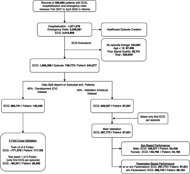 https://cdn.ncbi.nlm.nih.gov/pmc/blobs/1360/11102430/0e52709cf7d2/41746_2024_1130_Fig1_HTML.jpg