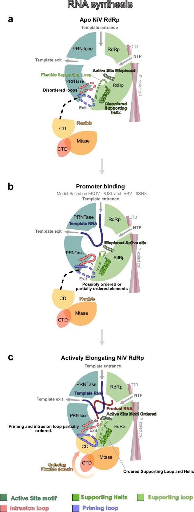 https://cdn.ncbi.nlm.nih.gov/pmc/blobs/1360/11885841/72117092be30/41467_2025_57219_Fig6_HTML.jpg