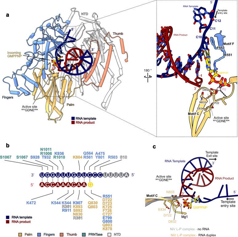 https://cdn.ncbi.nlm.nih.gov/pmc/blobs/1360/11885841/84ddbb717451/41467_2025_57219_Fig3_HTML.jpg