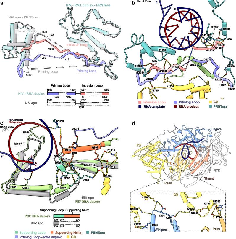 https://cdn.ncbi.nlm.nih.gov/pmc/blobs/1360/11885841/f41574dd16db/41467_2025_57219_Fig5_HTML.jpg
