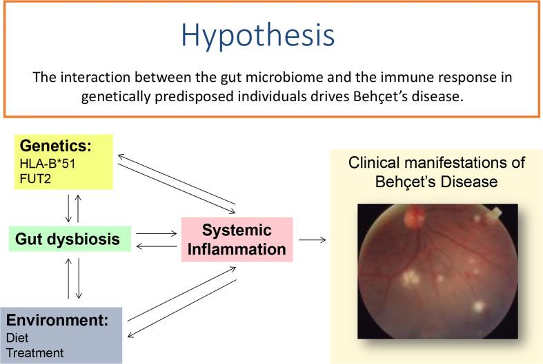https://cdn.ncbi.nlm.nih.gov/pmc/blobs/1362/8176108/e1b18865ce65/fimmu-12-648341-g001.jpg