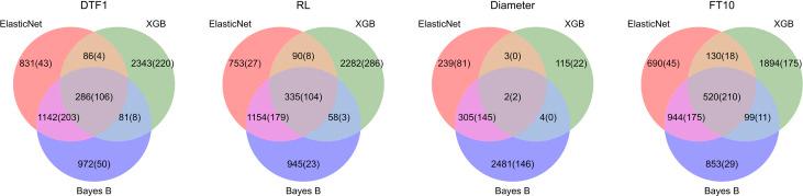 https://cdn.ncbi.nlm.nih.gov/pmc/blobs/1362/9673477/15db1c082091/fpls-13-932512-g004.jpg