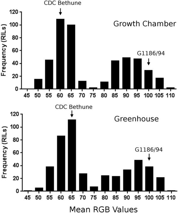 https://cdn.ncbi.nlm.nih.gov/pmc/blobs/1363/5691222/4062be16a3ab/41598_2017_11565_Fig3_HTML.jpg
