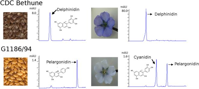 https://cdn.ncbi.nlm.nih.gov/pmc/blobs/1363/5691222/55b7d19f5f08/41598_2017_11565_Fig5_HTML.jpg