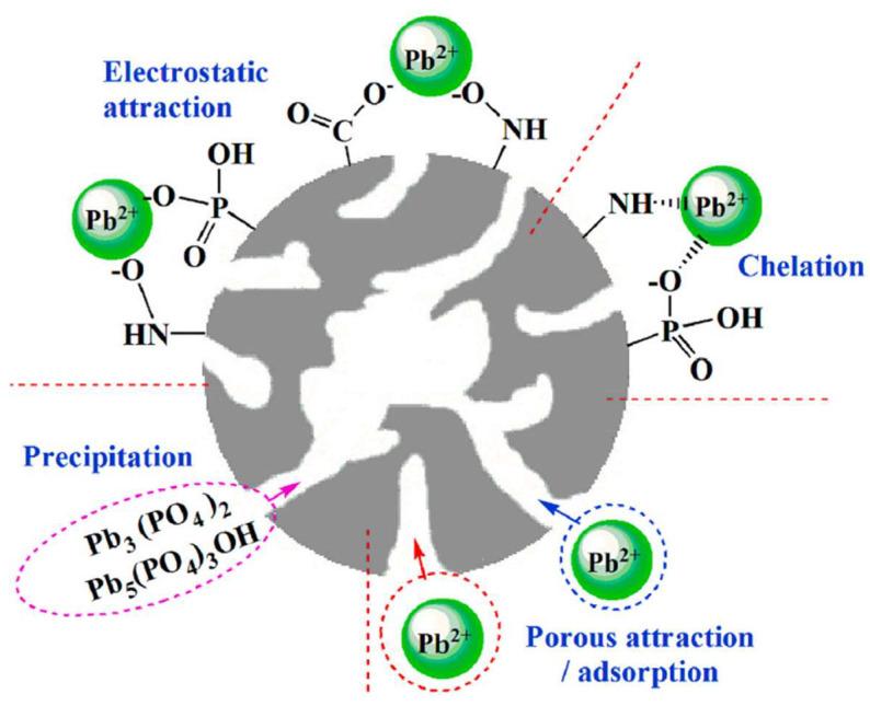 https://cdn.ncbi.nlm.nih.gov/pmc/blobs/1365/10935008/16f22c025ac0/molecules-29-01005-g018.jpg