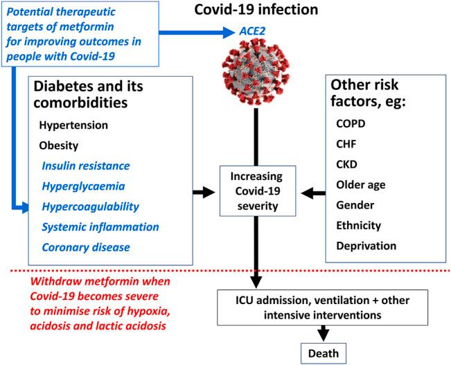 https://cdn.ncbi.nlm.nih.gov/pmc/blobs/1365/8964397/2e291e9d9c68/fphar-13-784459-g004.jpg
