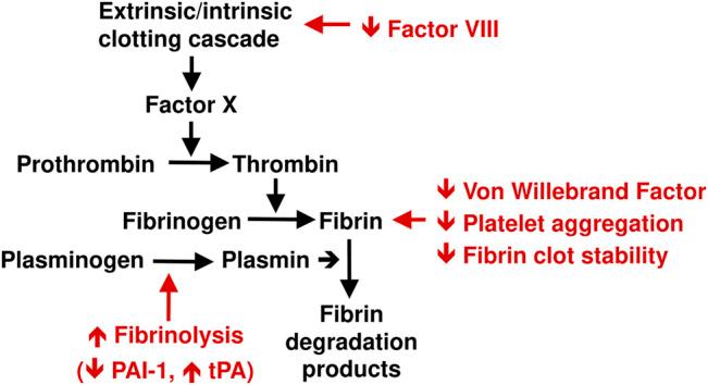https://cdn.ncbi.nlm.nih.gov/pmc/blobs/1365/8964397/e03c6144ed23/fphar-13-784459-g003.jpg