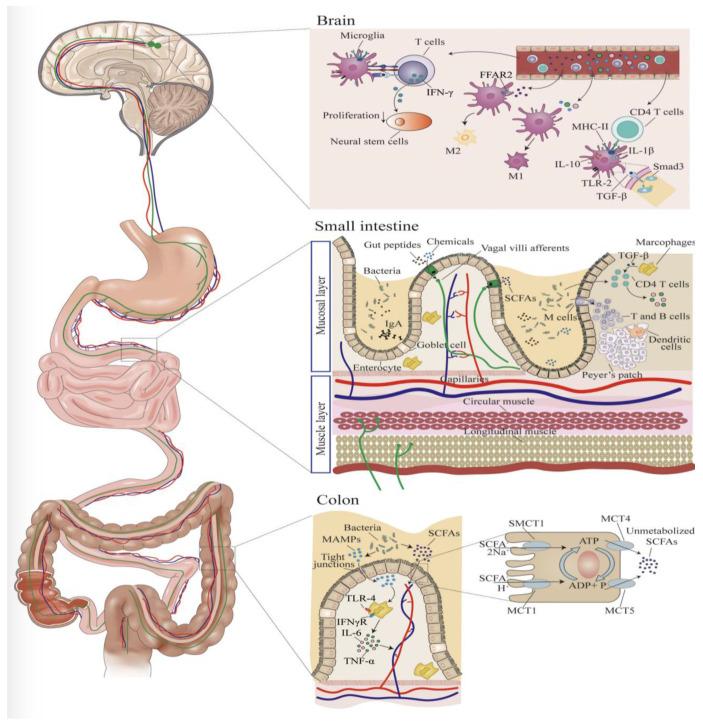 https://cdn.ncbi.nlm.nih.gov/pmc/blobs/1366/10670365/71b1c0f50a81/children-10-01767-g002.jpg