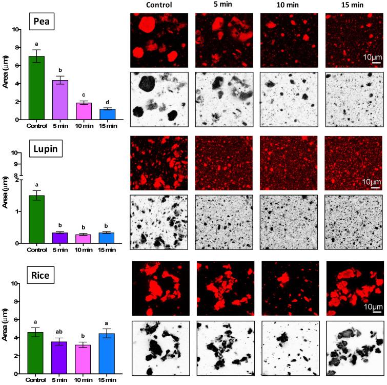 https://cdn.ncbi.nlm.nih.gov/pmc/blobs/1367/12026612/35e408682521/gels-11-00270-g003.jpg