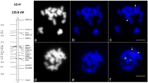 https://cdn.ncbi.nlm.nih.gov/pmc/blobs/1367/2656508/03aa99b9e004/1471-2229-9-22-1.jpg