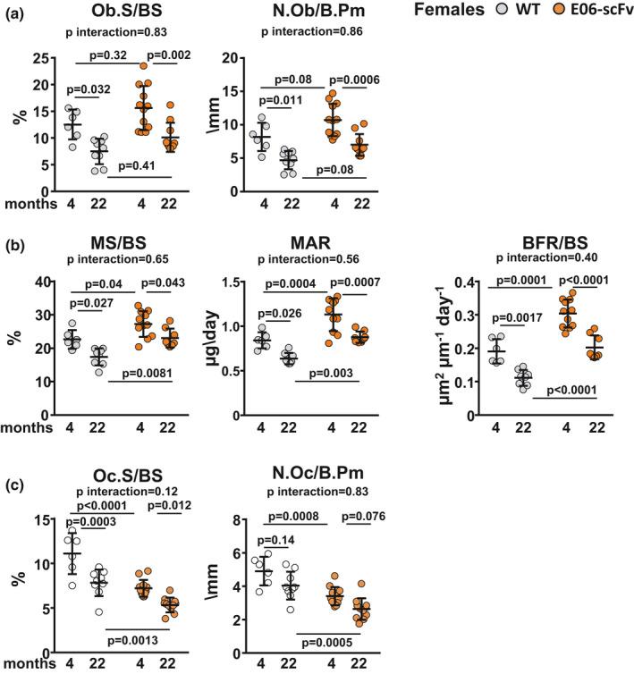 https://cdn.ncbi.nlm.nih.gov/pmc/blobs/1367/8373359/052bbd55e60d/ACEL-20-e13442-g004.jpg