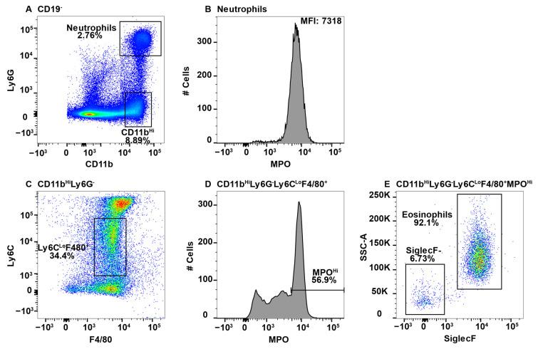 https://cdn.ncbi.nlm.nih.gov/pmc/blobs/1367/9330004/eb8b02f56592/ijms-23-08246-g001.jpg