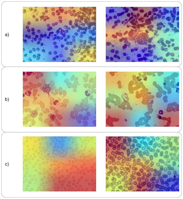 https://cdn.ncbi.nlm.nih.gov/pmc/blobs/1368/11144338/97bb37f7245b/12879_2024_9428_Fig6_HTML.jpg