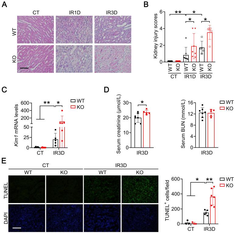 https://cdn.ncbi.nlm.nih.gov/pmc/blobs/1368/9131276/f6b73dad3b6b/thnov12p3896g003.jpg