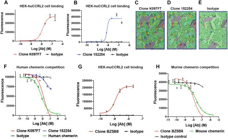 https://cdn.ncbi.nlm.nih.gov/pmc/blobs/136a/9858354/ec2a52ee7844/pone.0280590.g002.jpg
