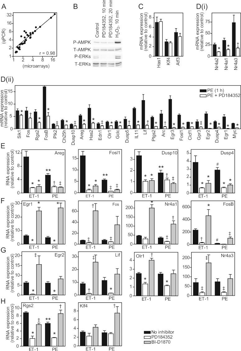 https://cdn.ncbi.nlm.nih.gov/pmc/blobs/136b/3573779/b65a90dea995/bj2012-1371i005.jpg