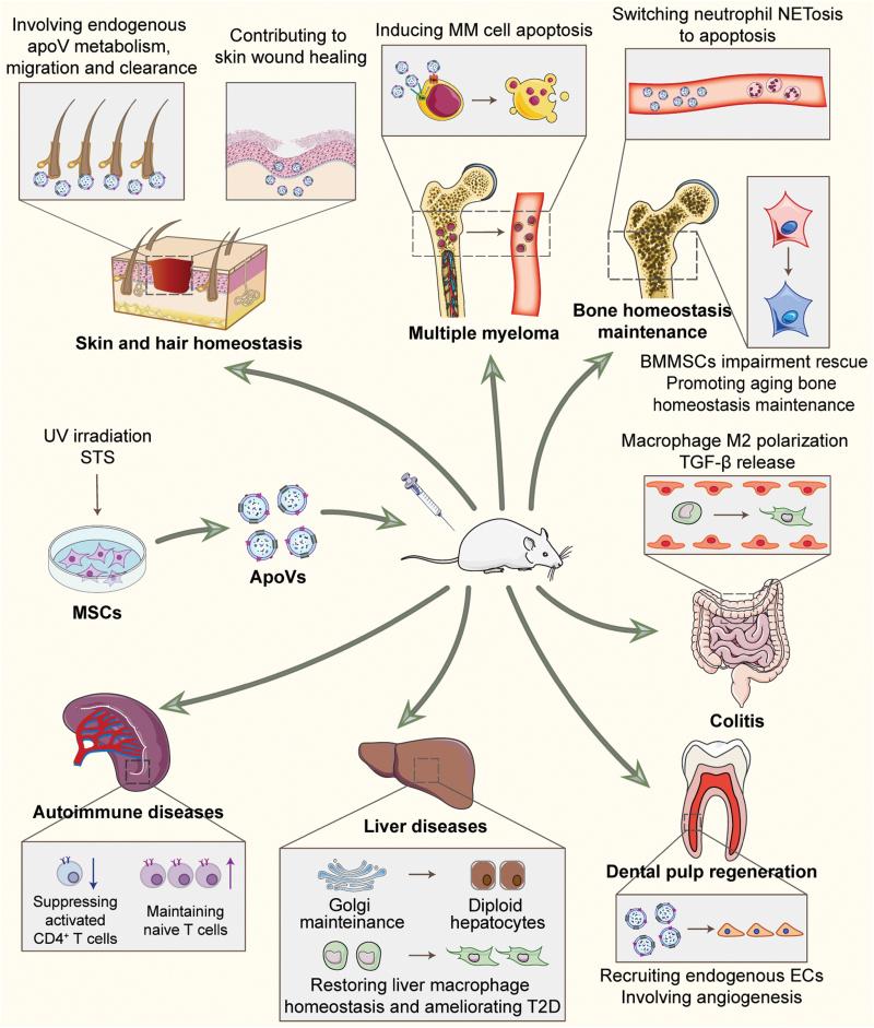 https://cdn.ncbi.nlm.nih.gov/pmc/blobs/136c/11749838/7d1965a151d1/lnad013_fig2.jpg