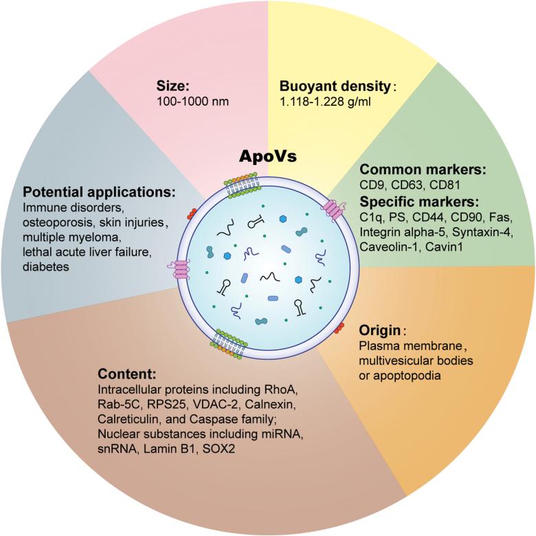 https://cdn.ncbi.nlm.nih.gov/pmc/blobs/136c/11749838/89d2f41d1607/lnad013_fig1.jpg