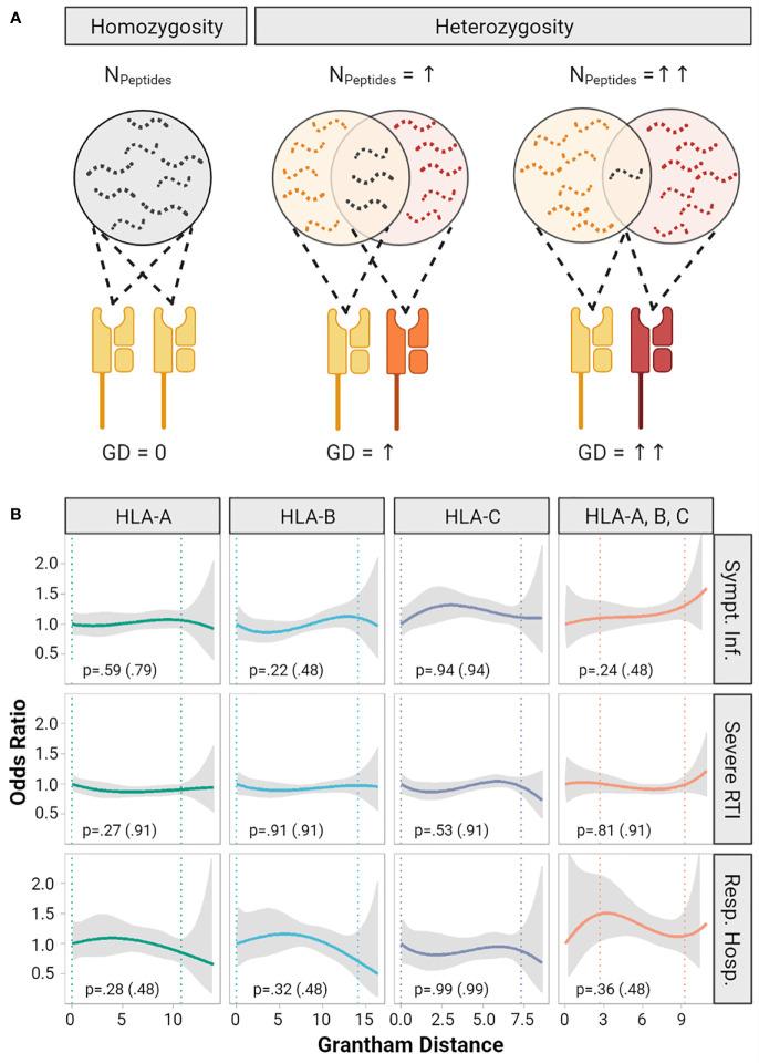 https://cdn.ncbi.nlm.nih.gov/pmc/blobs/136e/8350391/992e95d6aac1/fimmu-12-698193-g002.jpg