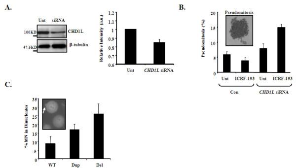 https://cdn.ncbi.nlm.nih.gov/pmc/blobs/136f/3180300/b1abc1cca716/1750-1172-6-54-4.jpg