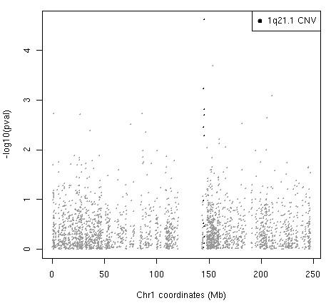 https://cdn.ncbi.nlm.nih.gov/pmc/blobs/136f/3180300/dbe8be42990e/1750-1172-6-54-2.jpg