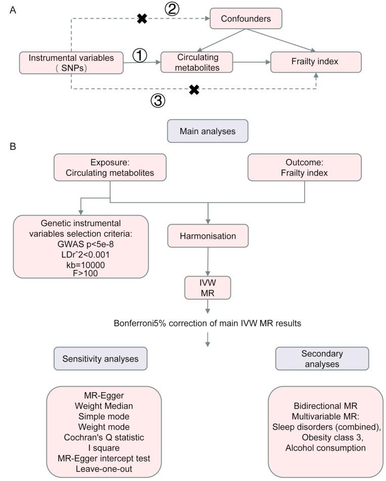 https://cdn.ncbi.nlm.nih.gov/pmc/blobs/1370/12350487/dd8968cb044d/40520_2025_3149_Fig1_HTML.jpg