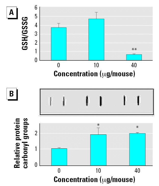 https://cdn.ncbi.nlm.nih.gov/pmc/blobs/1370/1849906/847ae540ca1b/ehp0115-000377f3.jpg