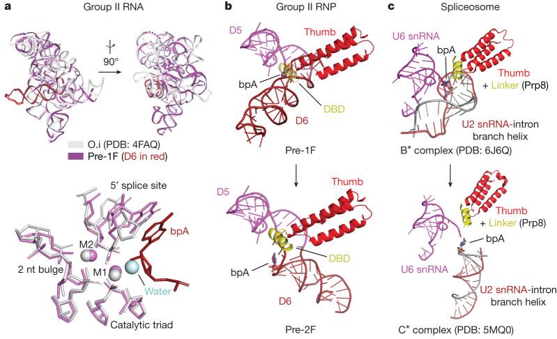 https://cdn.ncbi.nlm.nih.gov/pmc/blobs/1372/10733145/9b0457d029e8/41586_2023_6746_Fig5_HTML.jpg