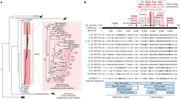https://cdn.ncbi.nlm.nih.gov/pmc/blobs/1374/10170441/1783f86d30f4/41586_2023_5949_Fig3_HTML.jpg