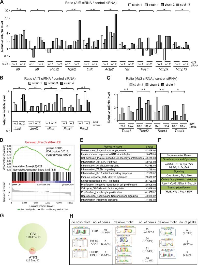https://cdn.ncbi.nlm.nih.gov/pmc/blobs/1375/5551580/0078003e4f4c/JEM_20170724_Fig4.jpg