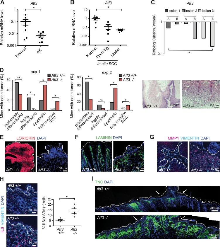 https://cdn.ncbi.nlm.nih.gov/pmc/blobs/1375/5551580/8431554cebeb/JEM_20170724_Fig1.jpg