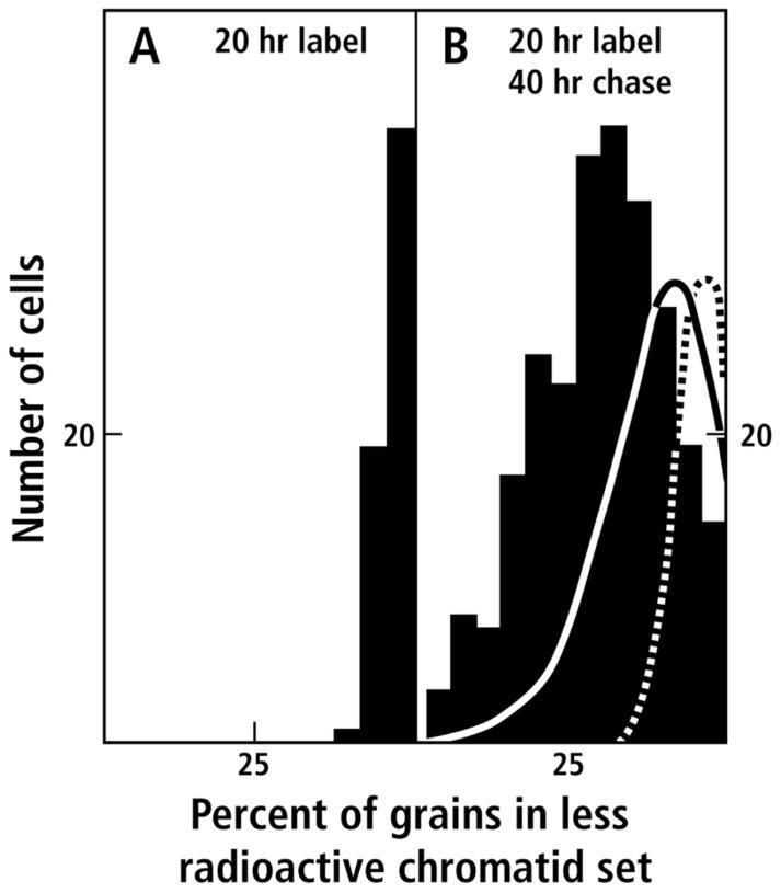 https://cdn.ncbi.nlm.nih.gov/pmc/blobs/1376/3561757/7d3c3284f698/fonc-02-00211-g003.jpg