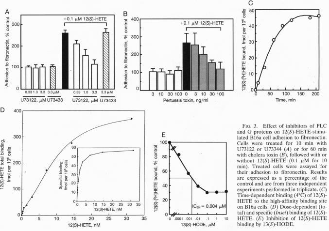 https://cdn.ncbi.nlm.nih.gov/pmc/blobs/1378/40977/b90d9d84b1d7/pnas01498-0324-a.jpg