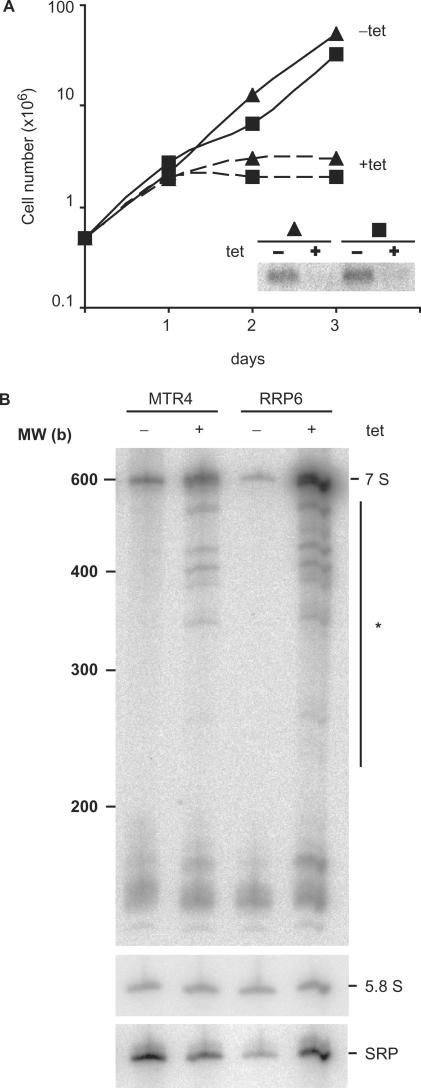 https://cdn.ncbi.nlm.nih.gov/pmc/blobs/1379/2175323/d603aca082dd/gkm736f2.jpg