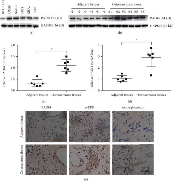 https://cdn.ncbi.nlm.nih.gov/pmc/blobs/1379/8147525/295d299ec430/BMRI2021-5596014.003.jpg